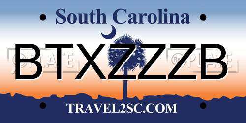 BTXZZZB South Carolina License Plate