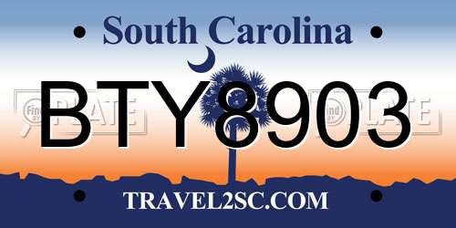 BTY8903 South Carolina License Plate