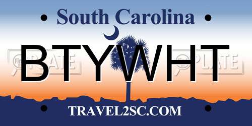 BTYWHT South Carolina License Plate