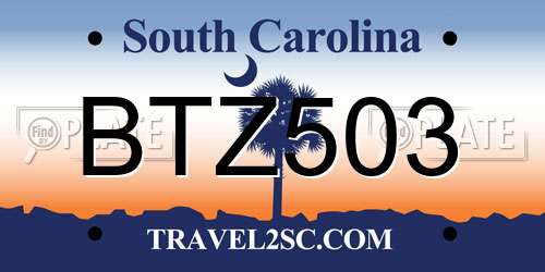 BTZ503 South Carolina License Plate
