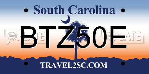 BTZ50E South Carolina License Plate