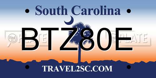 BTZ80E South Carolina License Plate