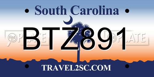 BTZ891 South Carolina License Plate