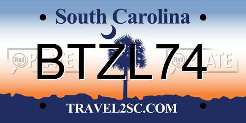 BTZL74 South Carolina License Plate