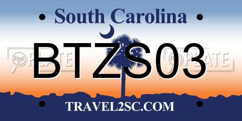 BTZS03 South Carolina License Plate