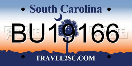 BU19166 South Carolina License Plate