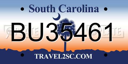 BU35461 South Carolina License Plate