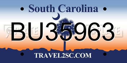 BU35963 South Carolina License Plate