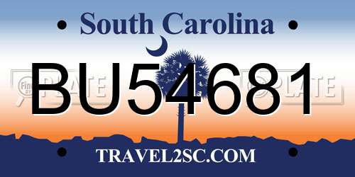BU54681 South Carolina License Plate