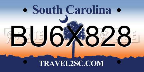 BU6X828 South Carolina License Plate