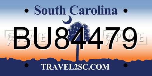 BU84479 South Carolina License Plate