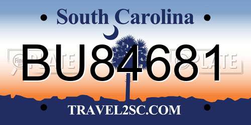 BU84681 South Carolina License Plate
