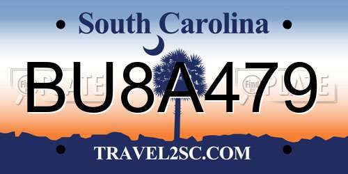 BU8A479 South Carolina License Plate