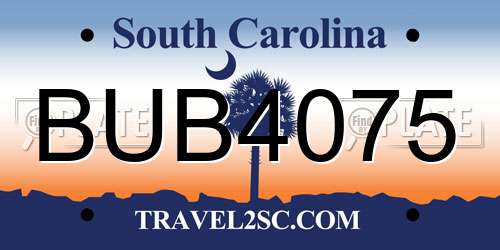 BUB4075 South Carolina License Plate