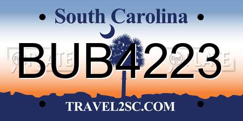 BUB4223 South Carolina License Plate