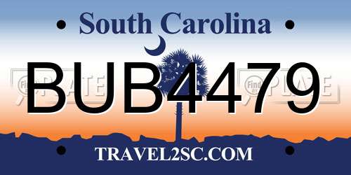 BUB4479 South Carolina License Plate