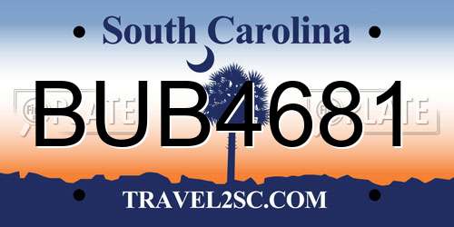 BUB4681 South Carolina License Plate