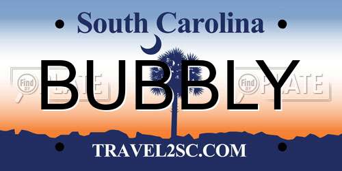 BUBBLY South Carolina License Plate