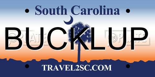 BUCKLUP South Carolina License Plate