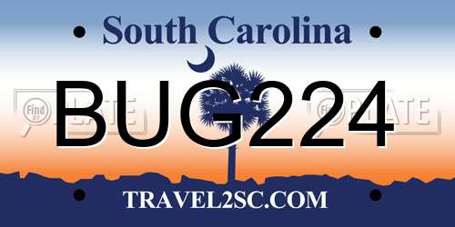 BUG224 South Carolina License Plate