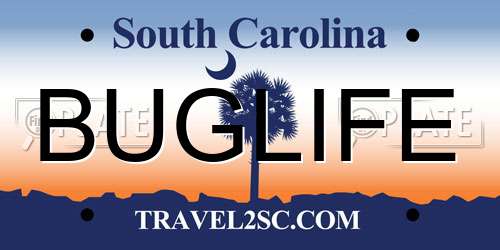 BUGLIFE South Carolina License Plate