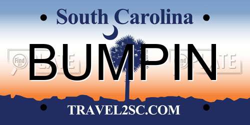 BUMPIN South Carolina License Plate