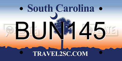 BUN145 South Carolina License Plate