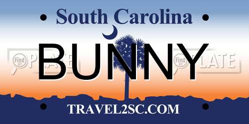 BUNNY South Carolina License Plate