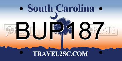 BUP187 South Carolina License Plate