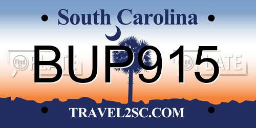 BUP915 South Carolina License Plate