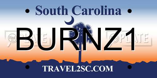 BURNZ1 South Carolina License Plate