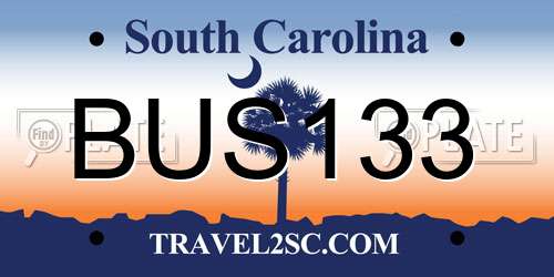 BUS133 South Carolina License Plate
