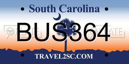 BUS364 South Carolina License Plate