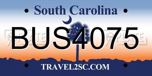 BUS4075 South Carolina License Plate