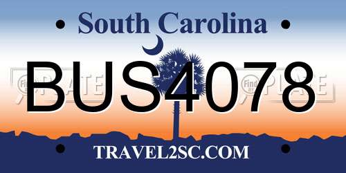 BUS4078 South Carolina License Plate