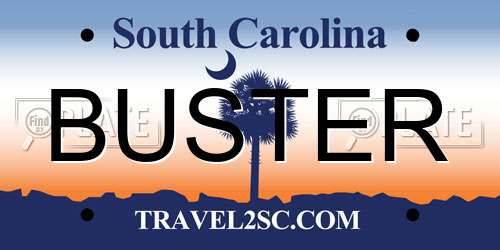 BUSTER South Carolina License Plate