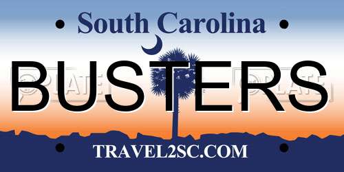 BUSTERS South Carolina License Plate