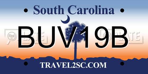 BUV19B South Carolina License Plate