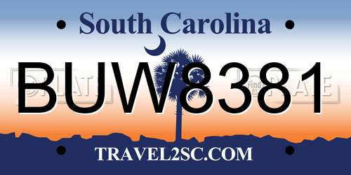 BUW8381 South Carolina License Plate