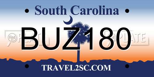 BUZ180 South Carolina License Plate