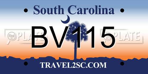 BV115 South Carolina License Plate