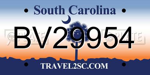BV29954 South Carolina License Plate