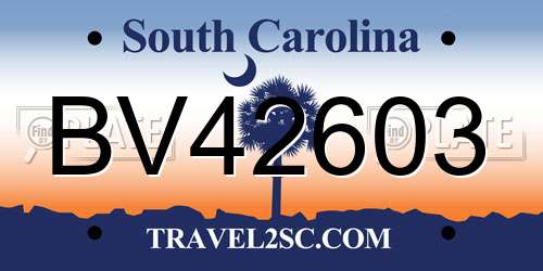 BV42603 South Carolina License Plate