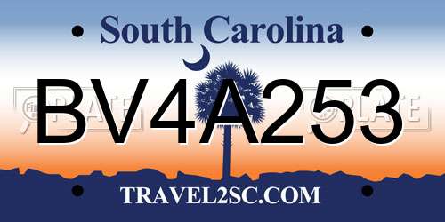 BV4A253 South Carolina License Plate