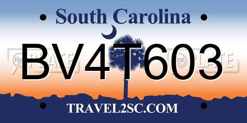 BV4T603 South Carolina License Plate