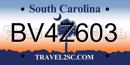 BV4Z603 South Carolina License Plate
