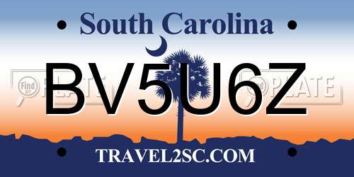 BV5U6Z South Carolina License Plate