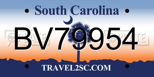 BV79954 South Carolina License Plate