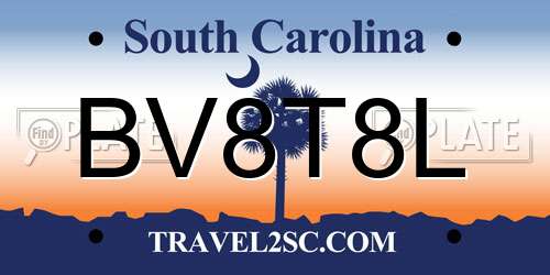 BV8T8L South Carolina License Plate
