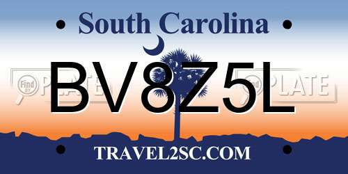 BV8Z5L South Carolina License Plate
